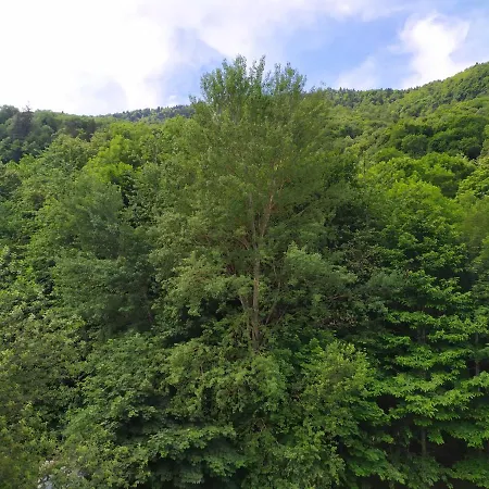 Apartment De Luchon Bagneres-de-Luchon