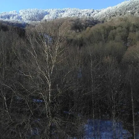Appartement De Luchon
